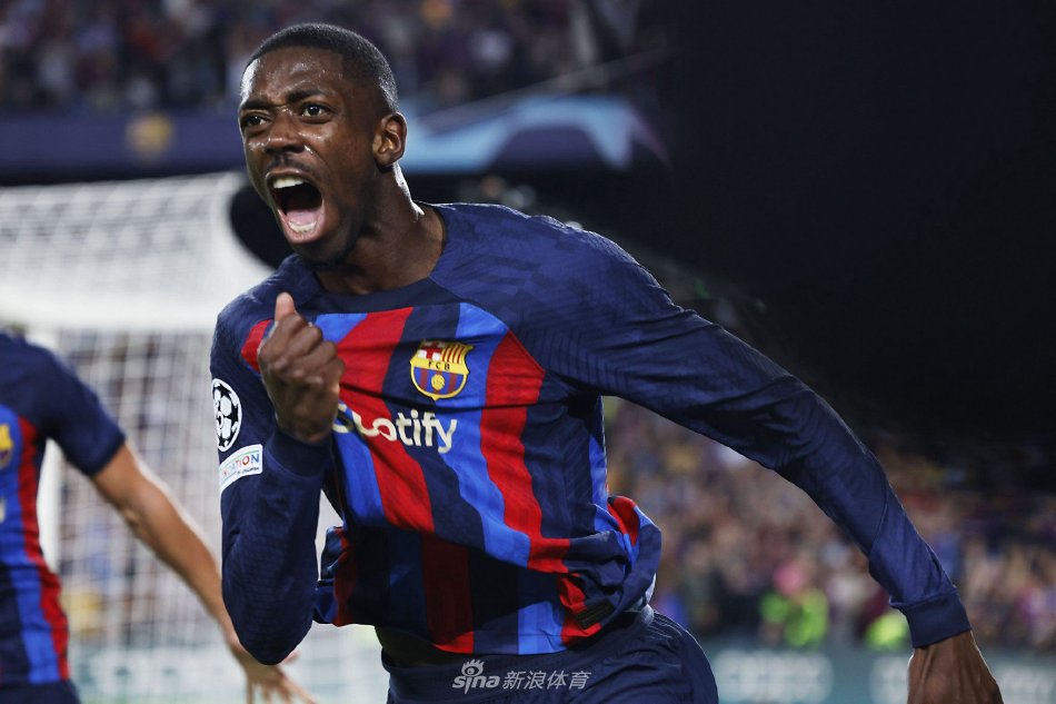 电频道公开 电频道公开